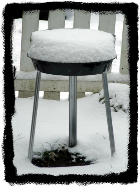 snowy barbecue in Berlin