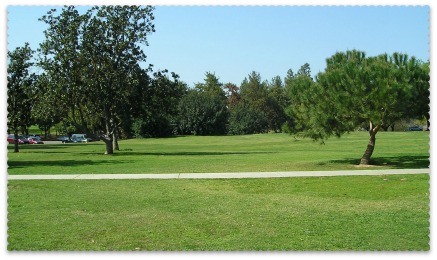 Woodward Park:Trees & Grass